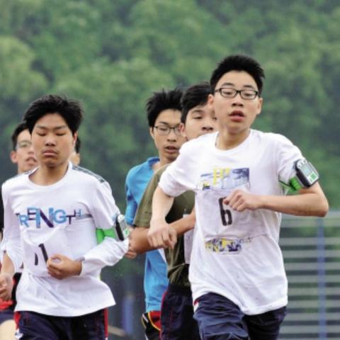 河南高考最新动态概览，2024年更新信息速递