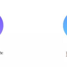 ＂管家婆一码中一肖＂的：化学工程和工业化学_复古版1.17