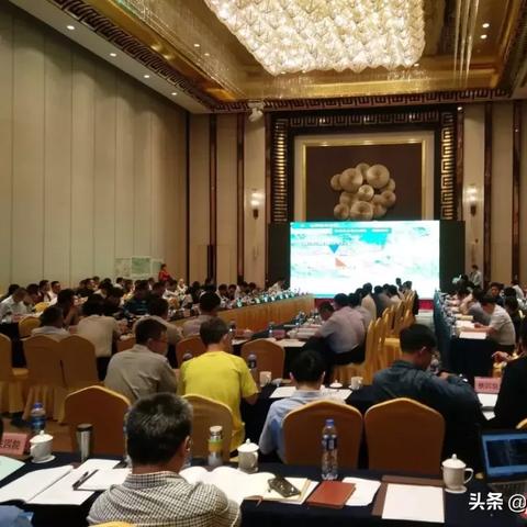公司变更 第163页