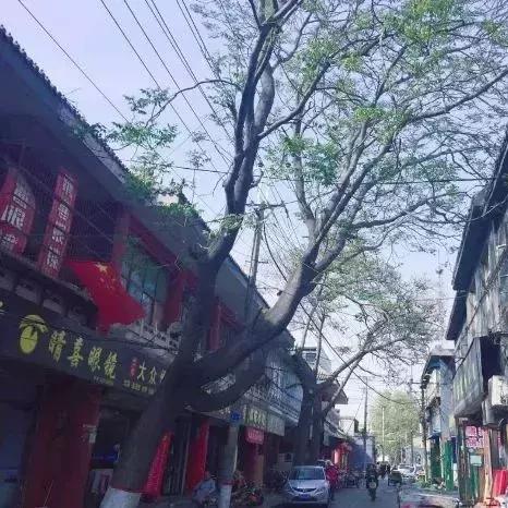 回车巷最新集会聚焦，城市更新与交通变革交汇点