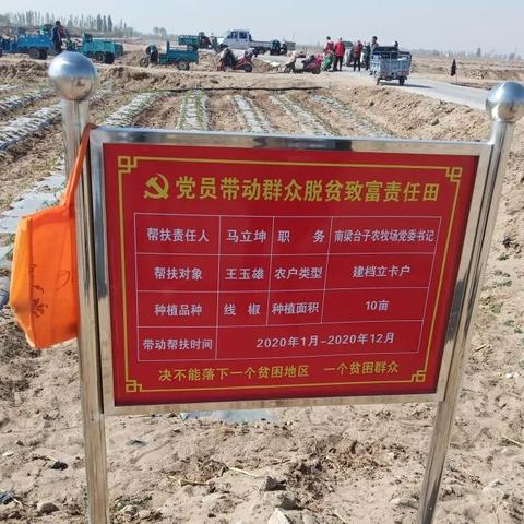 隆源化肥最新价格行情及分析摘要