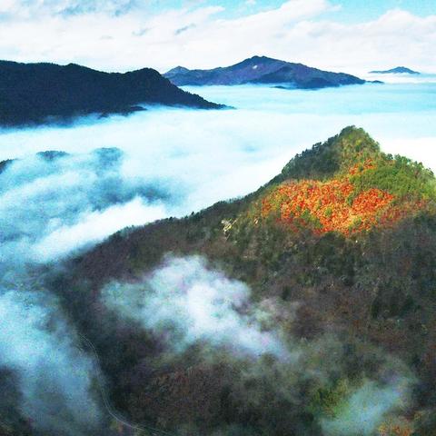 岳西县新闻速递，最新报道更新